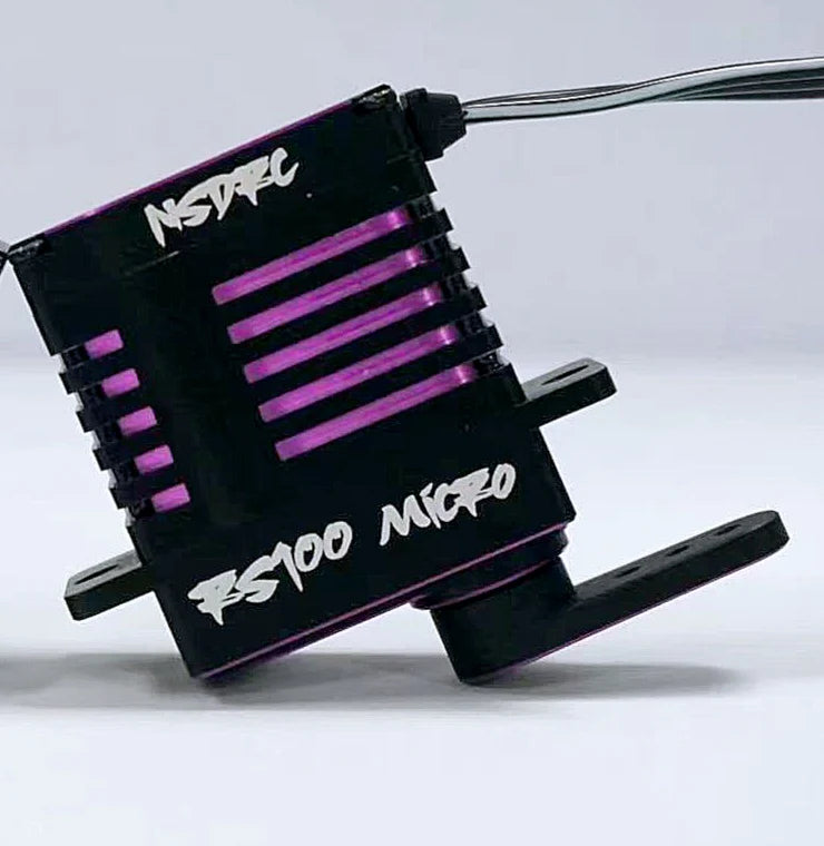 NSDRC RS100 High-Torque Micro Servo