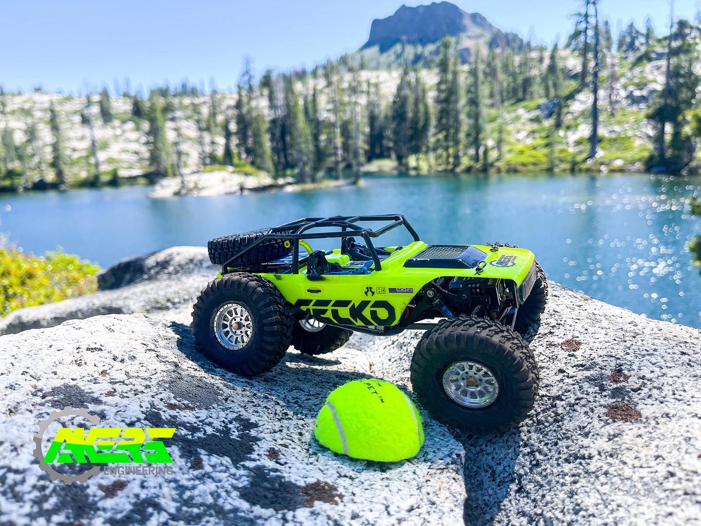 GECKO24 (SCX24 LCG Chassis)